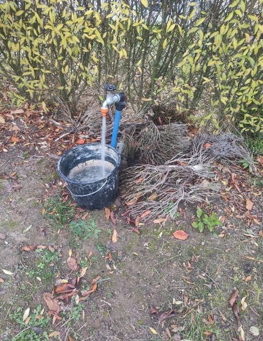 Działka rekreacyjna ogrodowa, altana, Strzegom