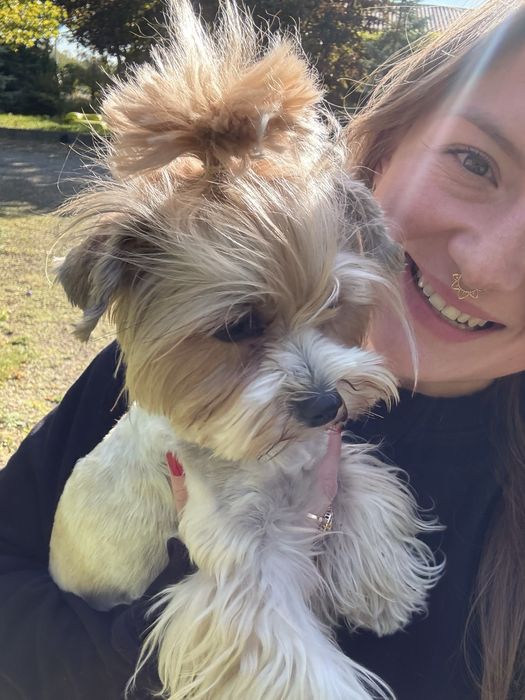 Hotel dla psów, szkolenia, konsultacje behawioralne - Częstochowa