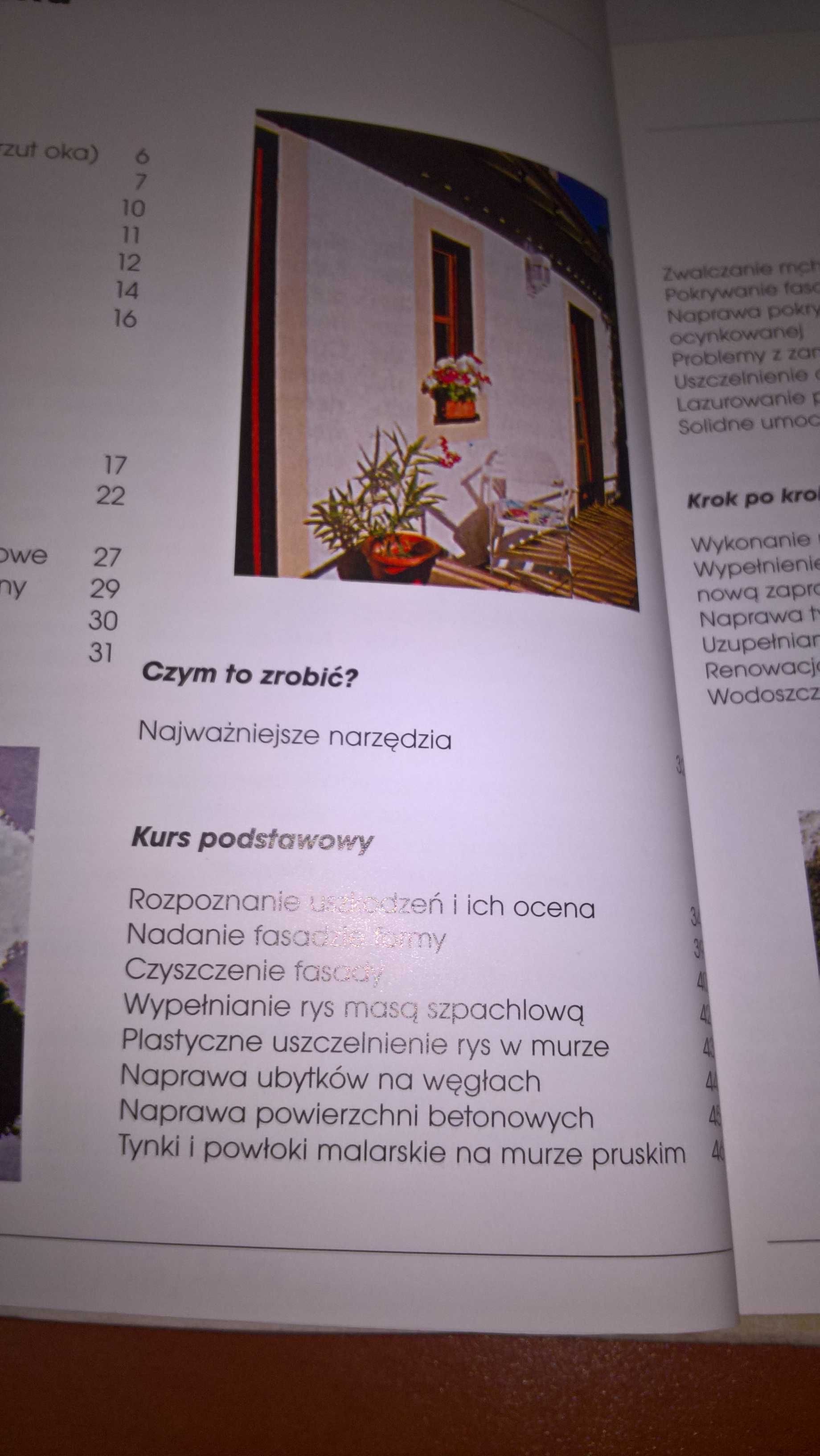 Sami odnawiamy fasady domów
Dietrich Engelhart, Max Direktor
