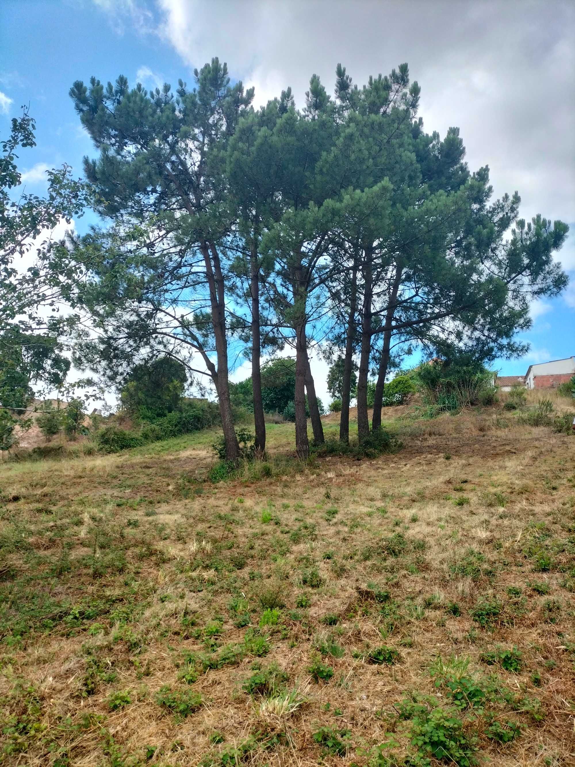 Moradia em terreno com 4080m²