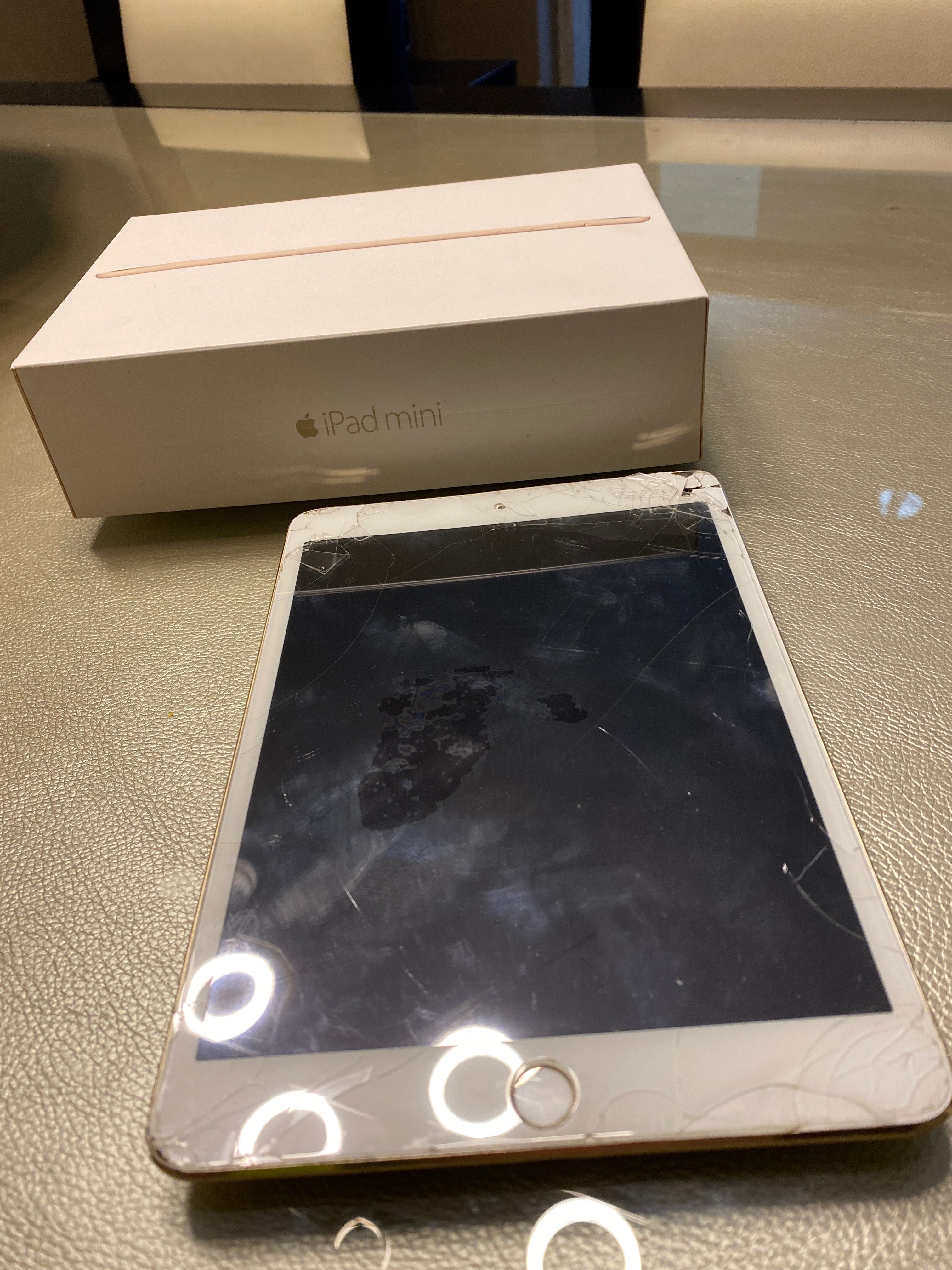 iPad mini Wi-Fi cellular 16g Gold