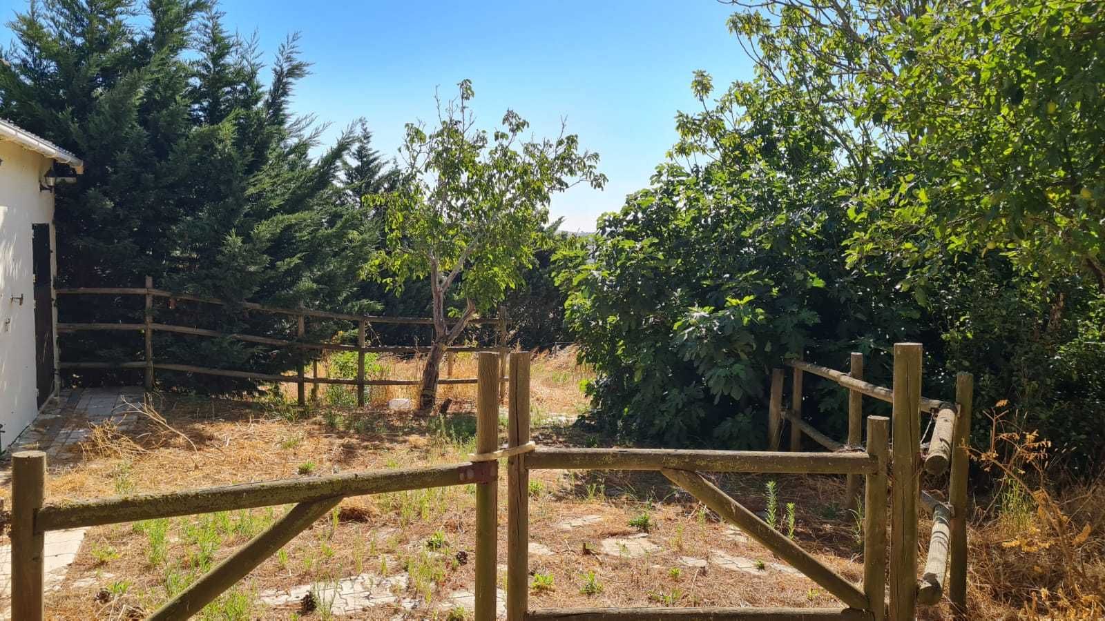 Fantástica Quinta em Arruda dos Vinhos –  Habitação e Equitação