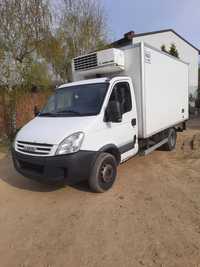 IVECO Daily 65C, winda, izoterma, chłodnia.