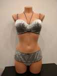 Triumph Biustonosz 75c  i stringi 40  Delightful Essence  Srebrny