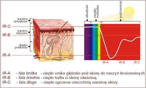 SAUNA INFRARED BARI 75°C 6 promienników kwarcowych
