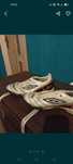 Buty umbro rozmiar 44