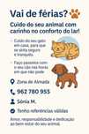Passeio cães e cuido de Gatos