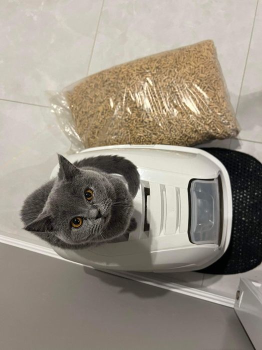 Zwirek pellet drewniany 25 kg