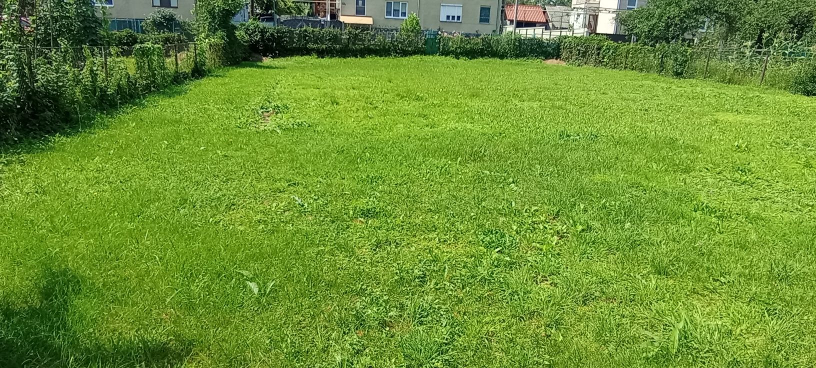 Продамо земельну ділянку з будинком Поляна Закарпатської