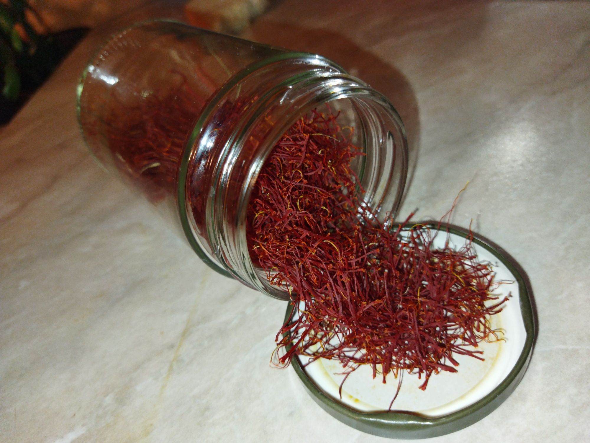 Шафран(крокус Sativus)