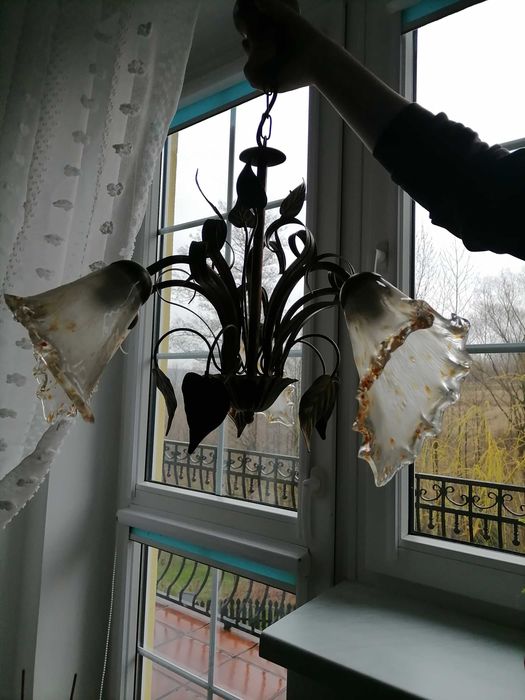 Żylandor elektryczny