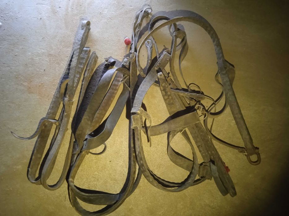 Chomąto,Orczyki,Uzdy,Lica na parę,Baty, sprzęt konny