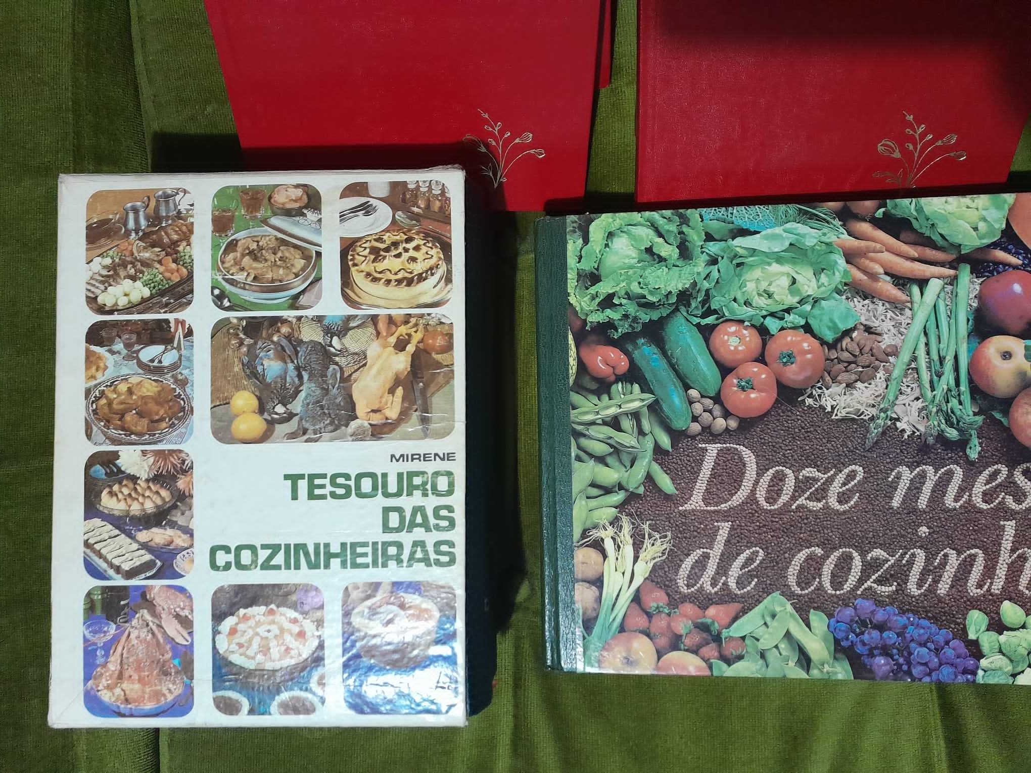 lote livros cozinha