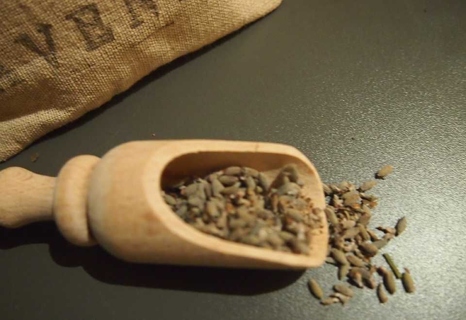 Alfazema seca portuguesa biológica saco 100g