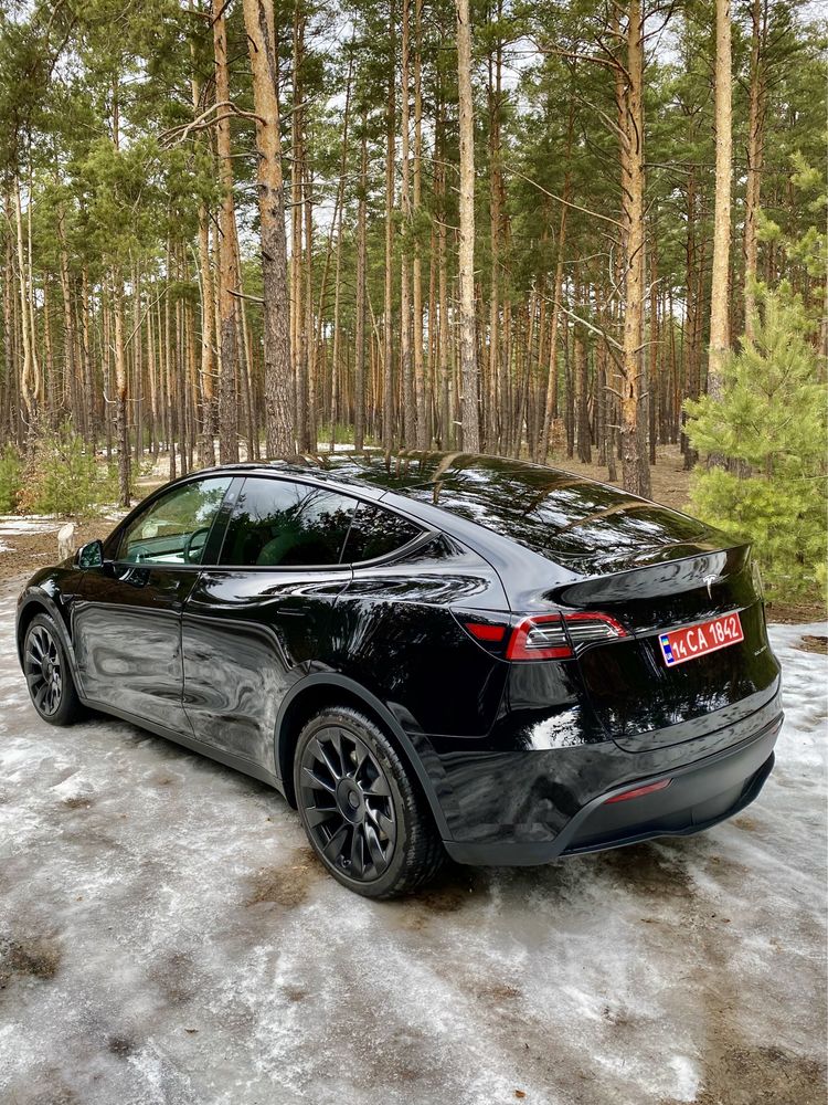 Tesla Model Y 2022 Long Range 82 kWt