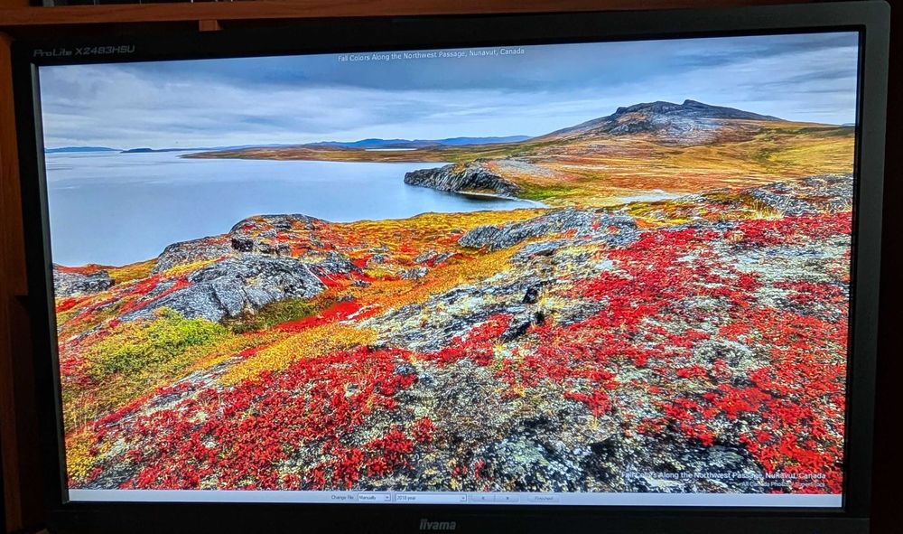 Монітор iiyama ProLite X2483HSU 24 "