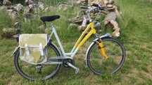 Rower Gazelle Fuente
