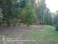 Sprzedam działkę budowlaną Lipowo 1200 m2
