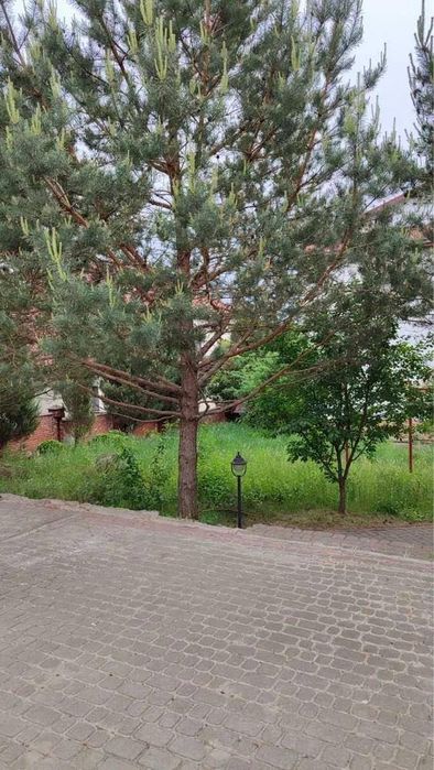 Оренда двоповерхового будинку у Сокільниках