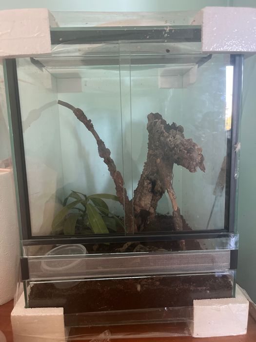 Terrarium dla małych stworzonek