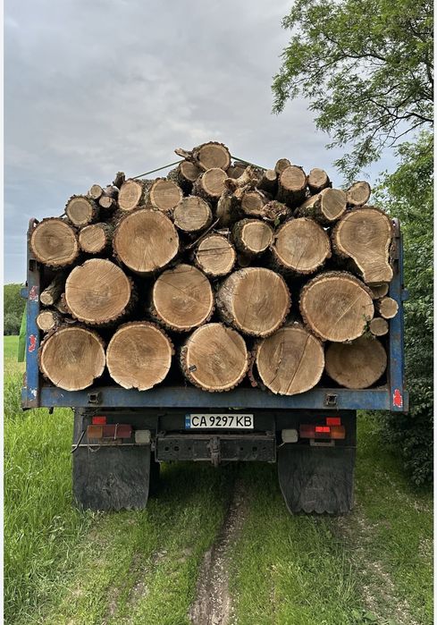 Дрова оптом і в роздріб без передплат 35/40/60 см.