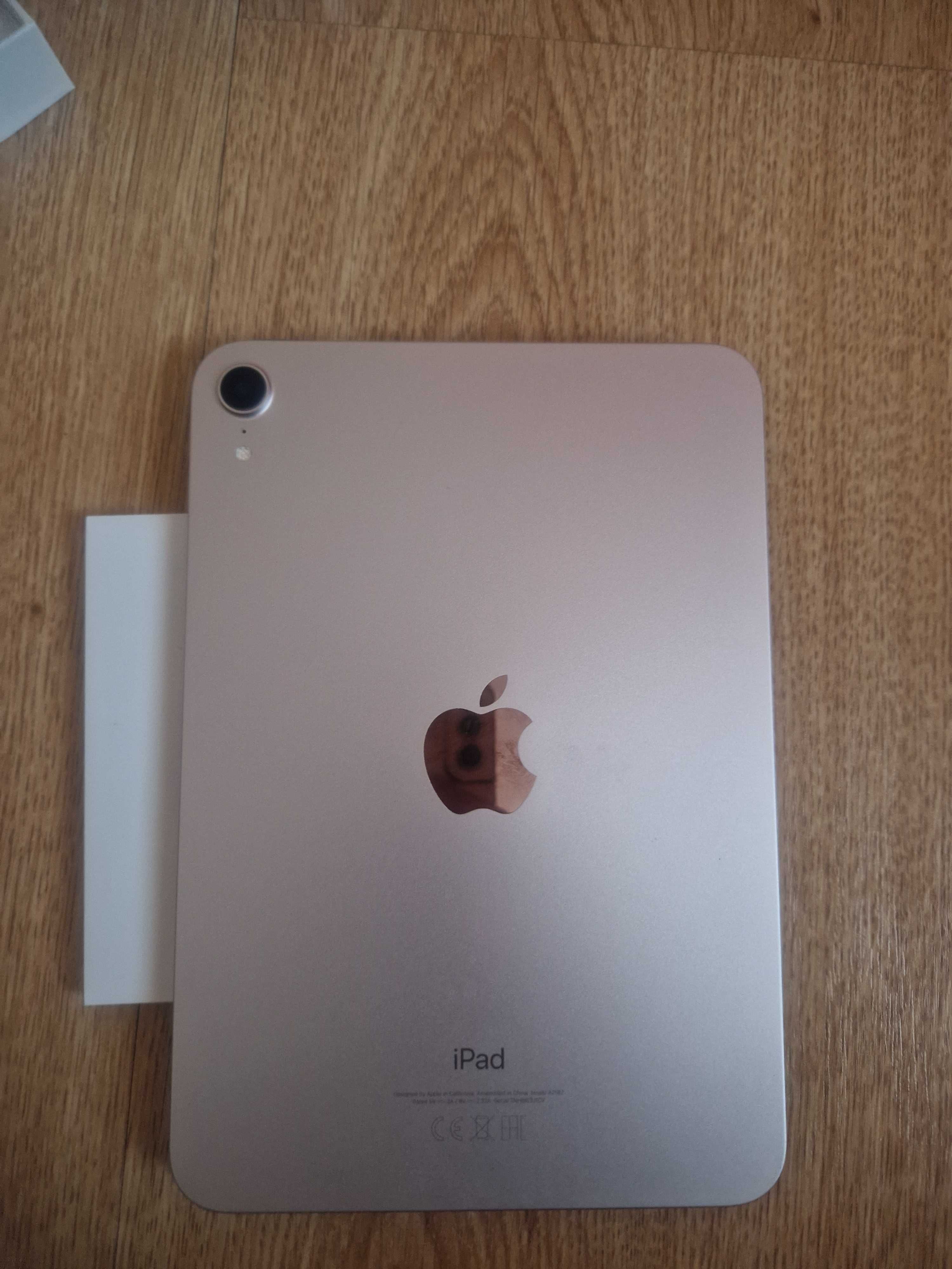 iPad mini 6th generation 256GB