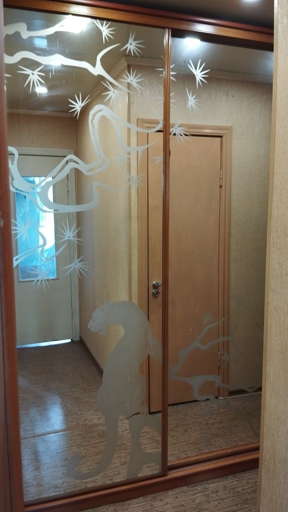 Шафа-купе у відмінному стані