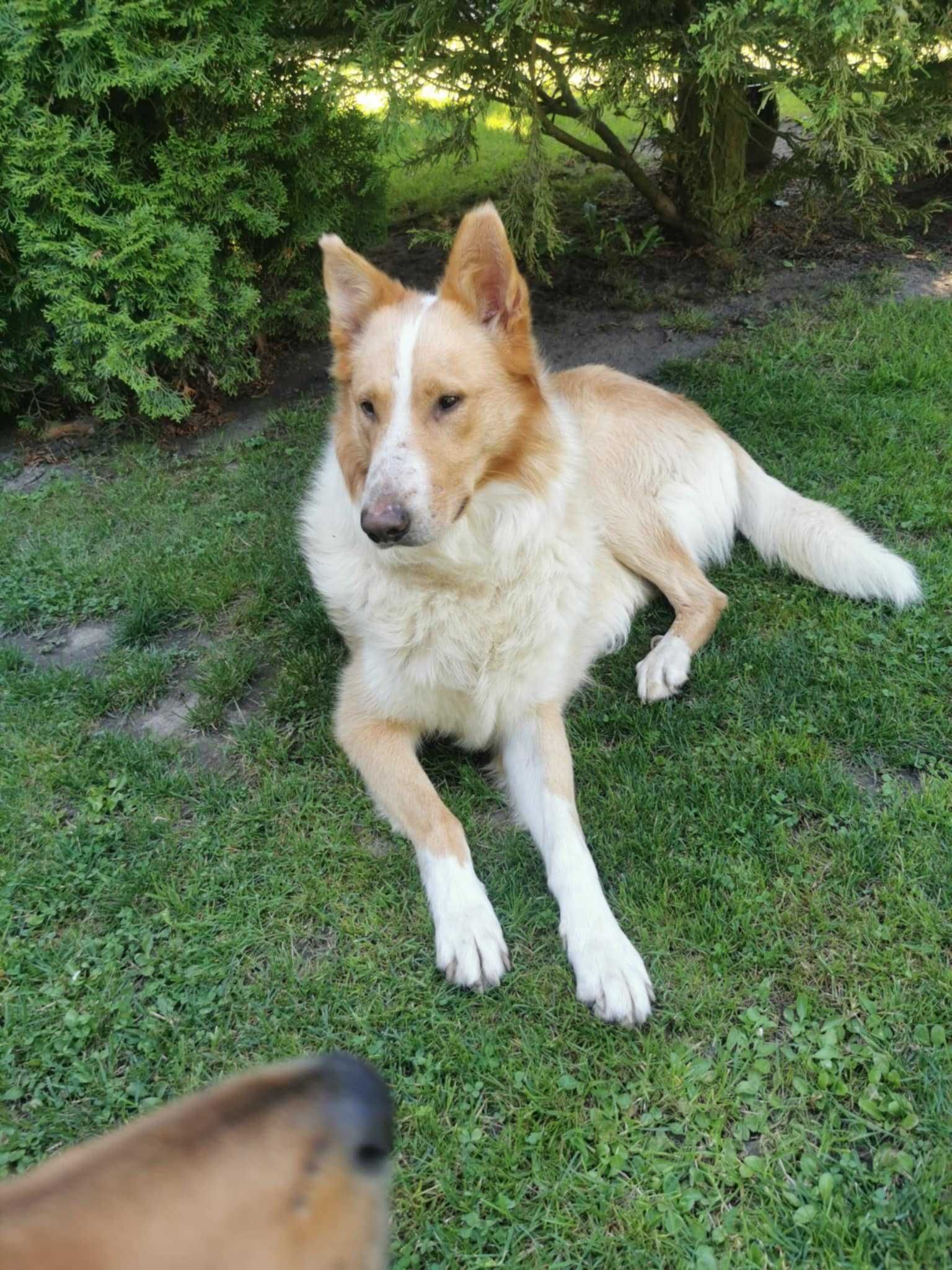 Zatrzymaj wzrok a zakochasz sie w nim
