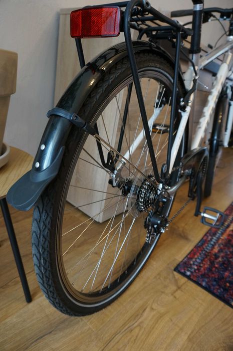 Rower Giant Argento RS 4