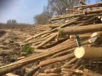drewno kominkowe., opał, drzewo, certyfikat rolnictwa ekologicznego