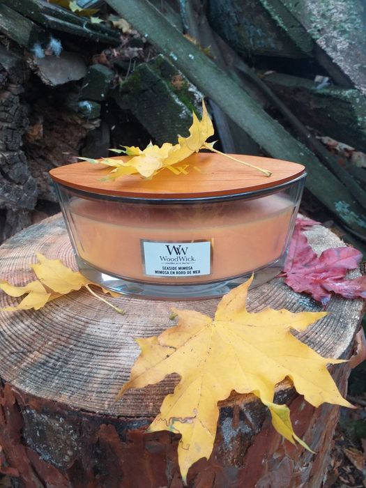 Ароматична свічка WoodWick 453,6 гр (Оригінальна)+ Подарунок