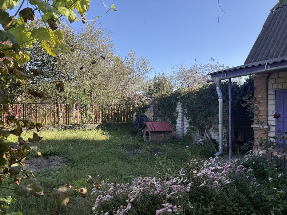 Житловий будинок поруч з річкою Південний Буг