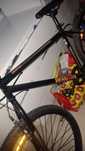 Bicicleta de montanha