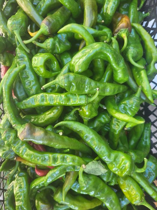 Перець гострий маринований