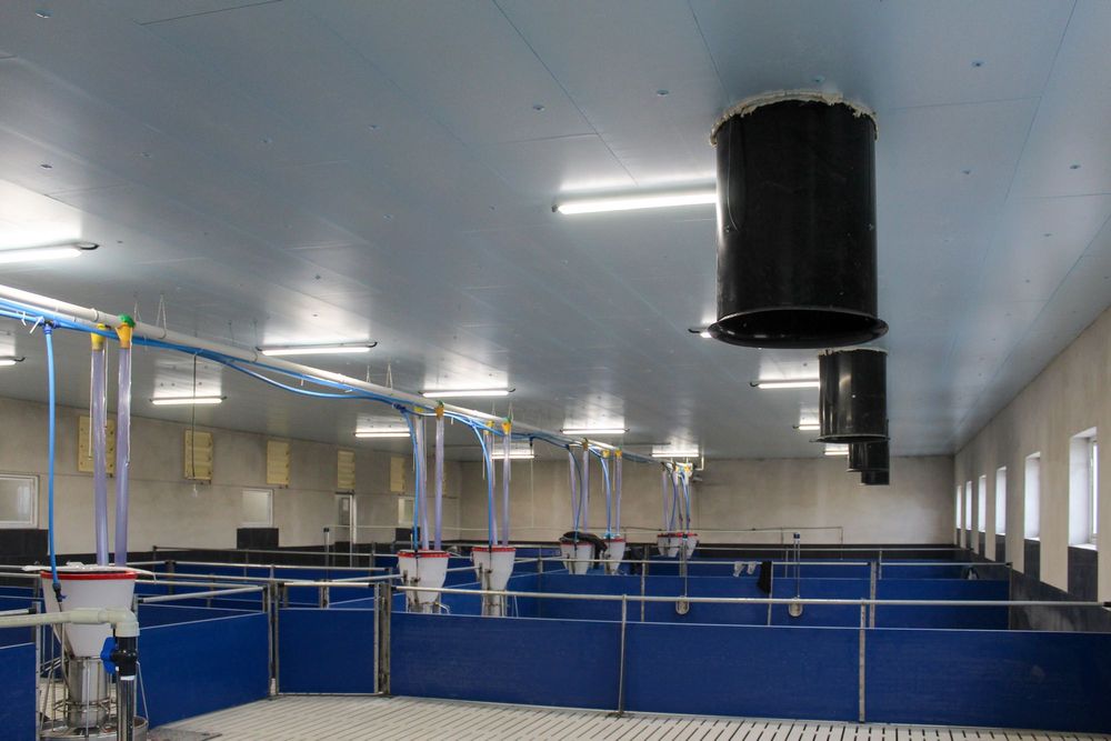 Podbitka Dachowa Budynku Inwentarskiego Magazynowego Styrodur XPS AGRO