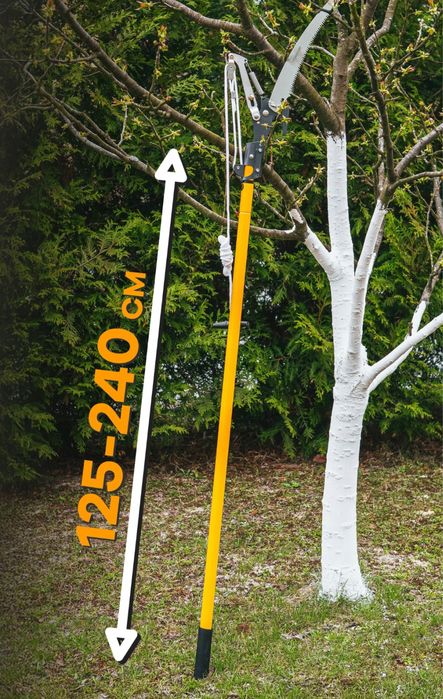 Sekator Teleskopowy Pila 2w1 Do Galezi Drzew 240cm Powermat