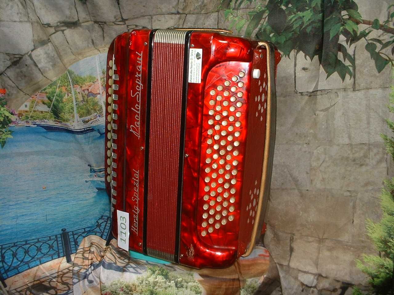 Acordeão Avenda R, .1103