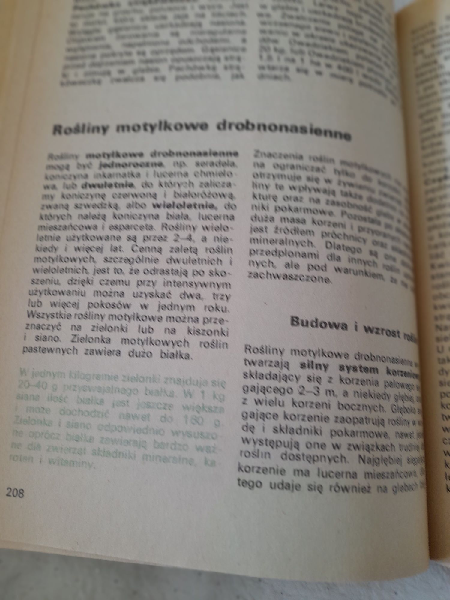 Nowoczesna uprawa roślin 1981 r