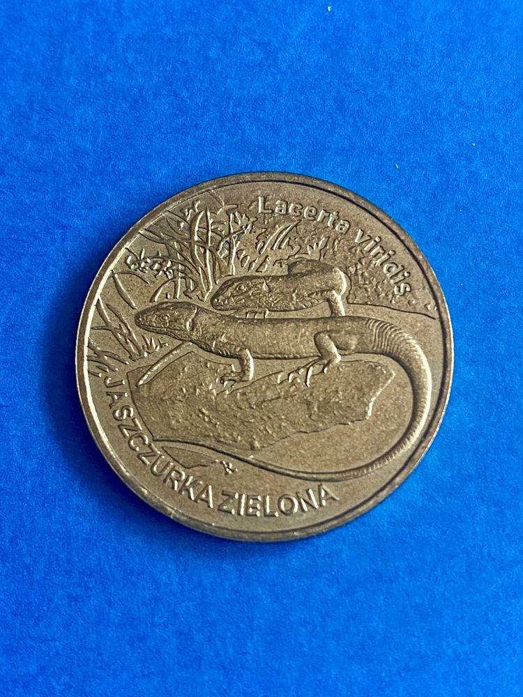 Moneta 2 zł Jaszczurka zielona - 2009 rok