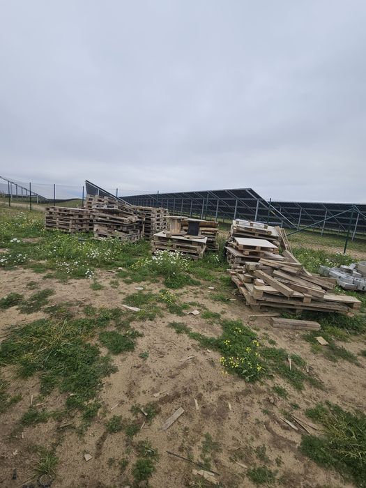 Palety - drewno - oddam