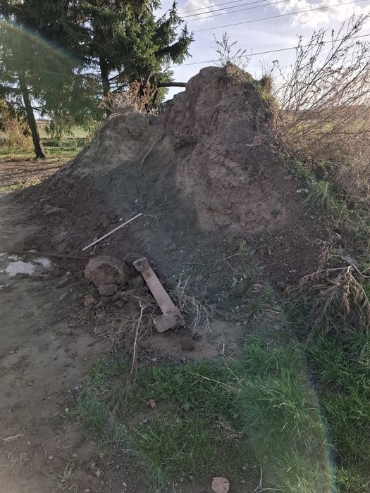 Oddam ziemię za darmo