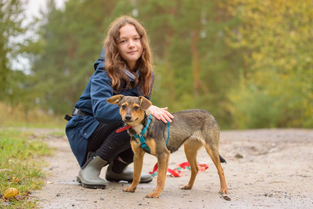 VIKSI - radosna młodzinka marznie w schronisku, szczeniak ok. 8 mcy