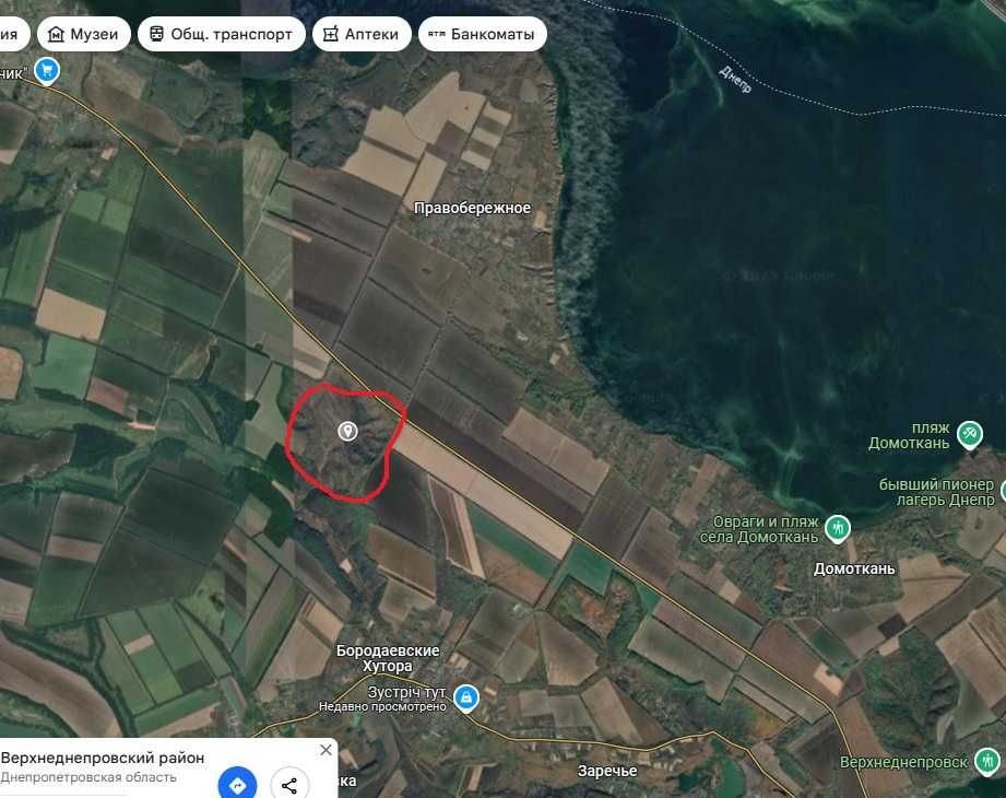 Пропала собака Бігль