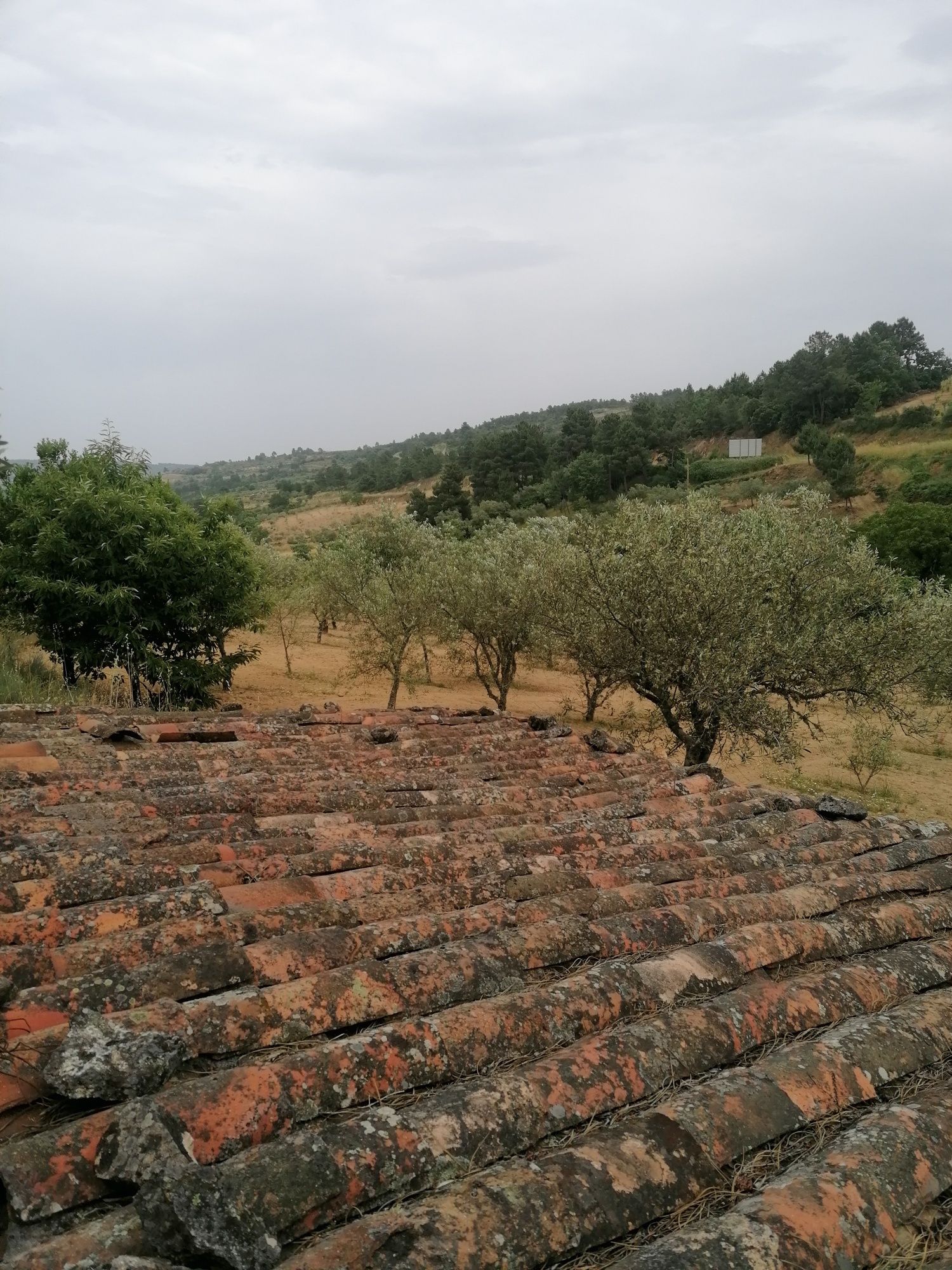 Venda terreno - Quinta