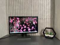 Стильний монітор DELL SE2416H 24 дюйми full hd