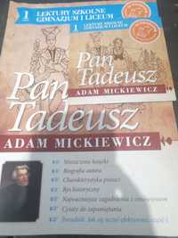 Audiobook PanTadeusz ze streszczeniem do szkoly