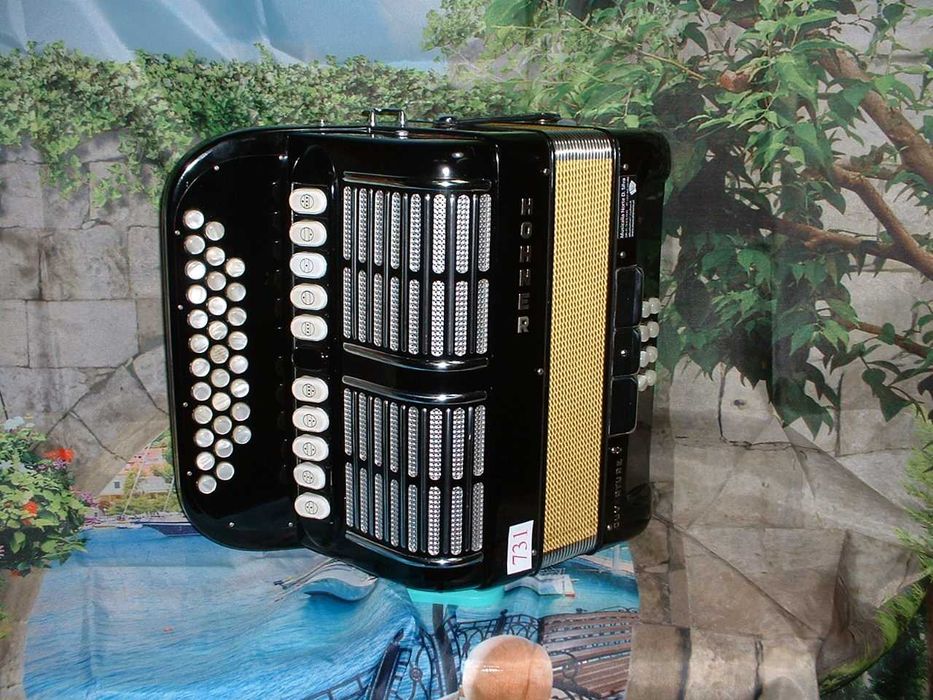 Concertina a venda n.731