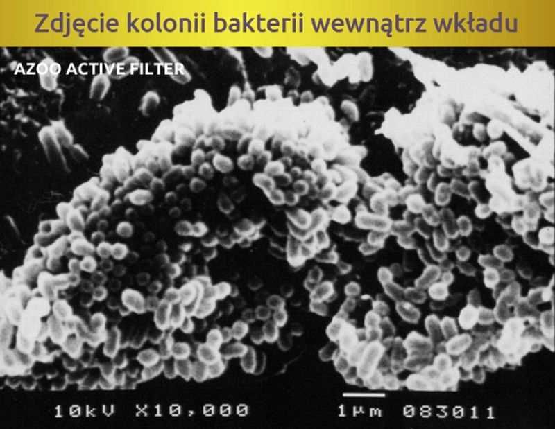 Wkład mineralny Azoo ACTIVE FILTER 4in1 - 1Litr