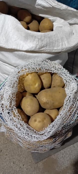 Ziemniaki Ricarda i Lord