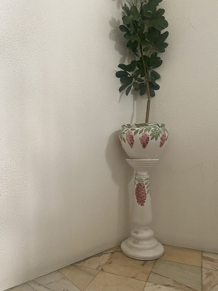 Vasos - varias unidades OFERTA de plantas